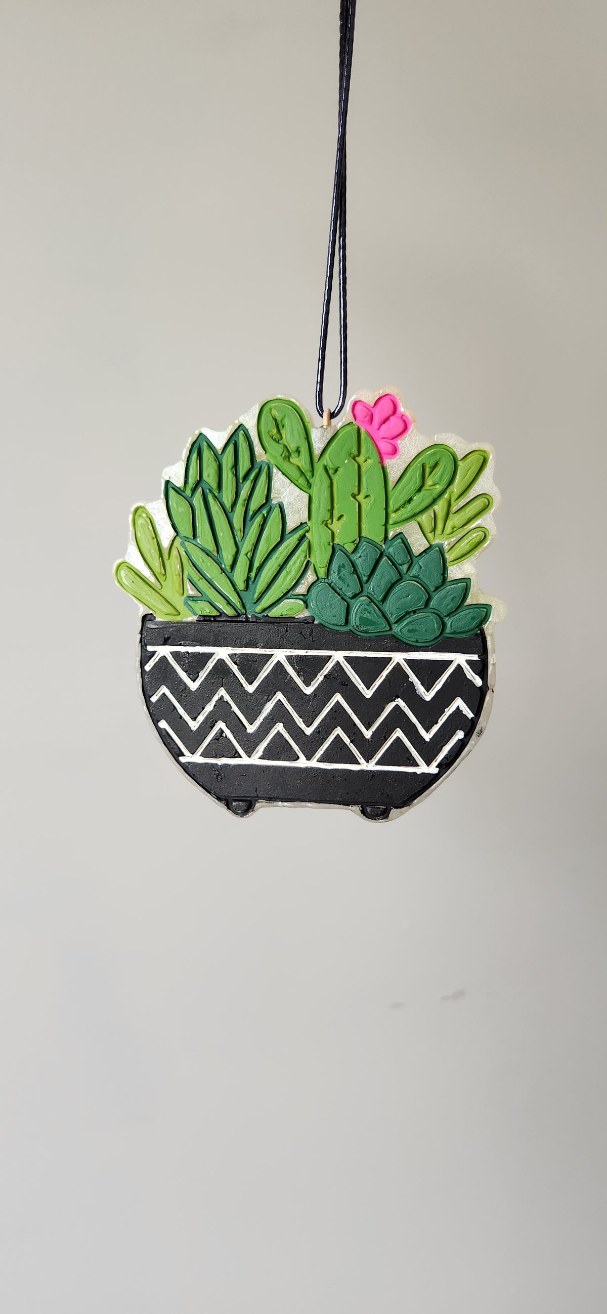 Potted Succulents