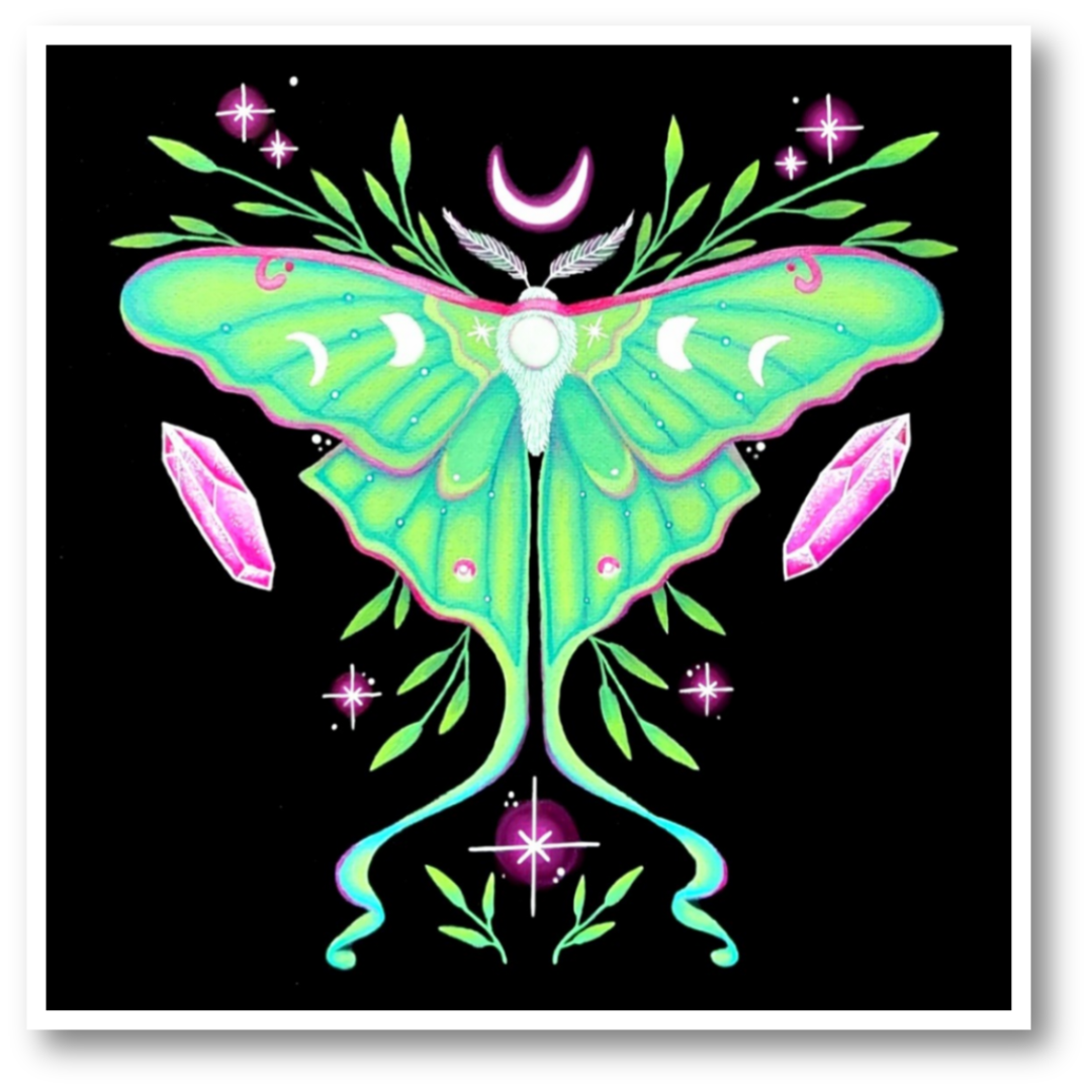 The Moth Collection | Set of 4 Art Prints