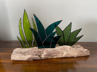 Stained Glass Tri-Colour Cactus Succulent Centrepiece Inlaid on Driftwood Base