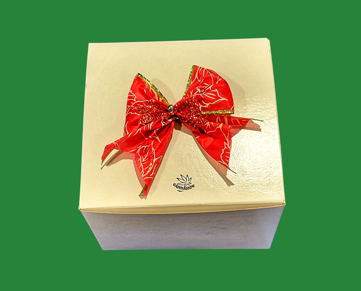 Infused DIY Kit (Holiday Gift Pack 1)