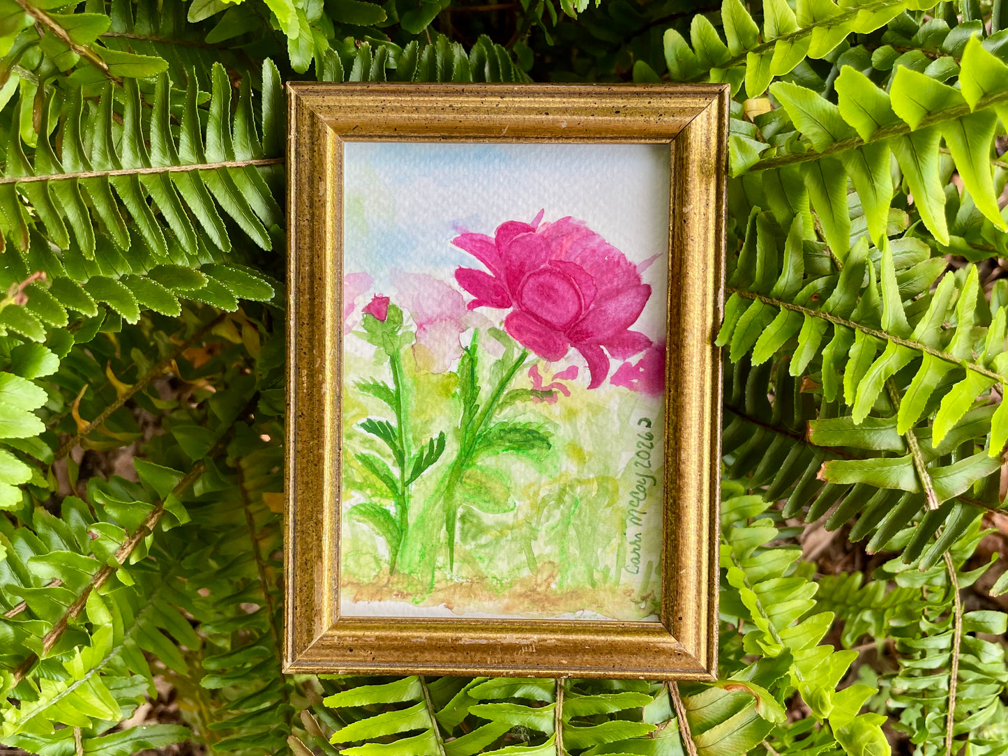 Peony