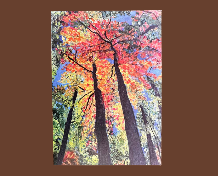 Symphony in Colour Greeting Card