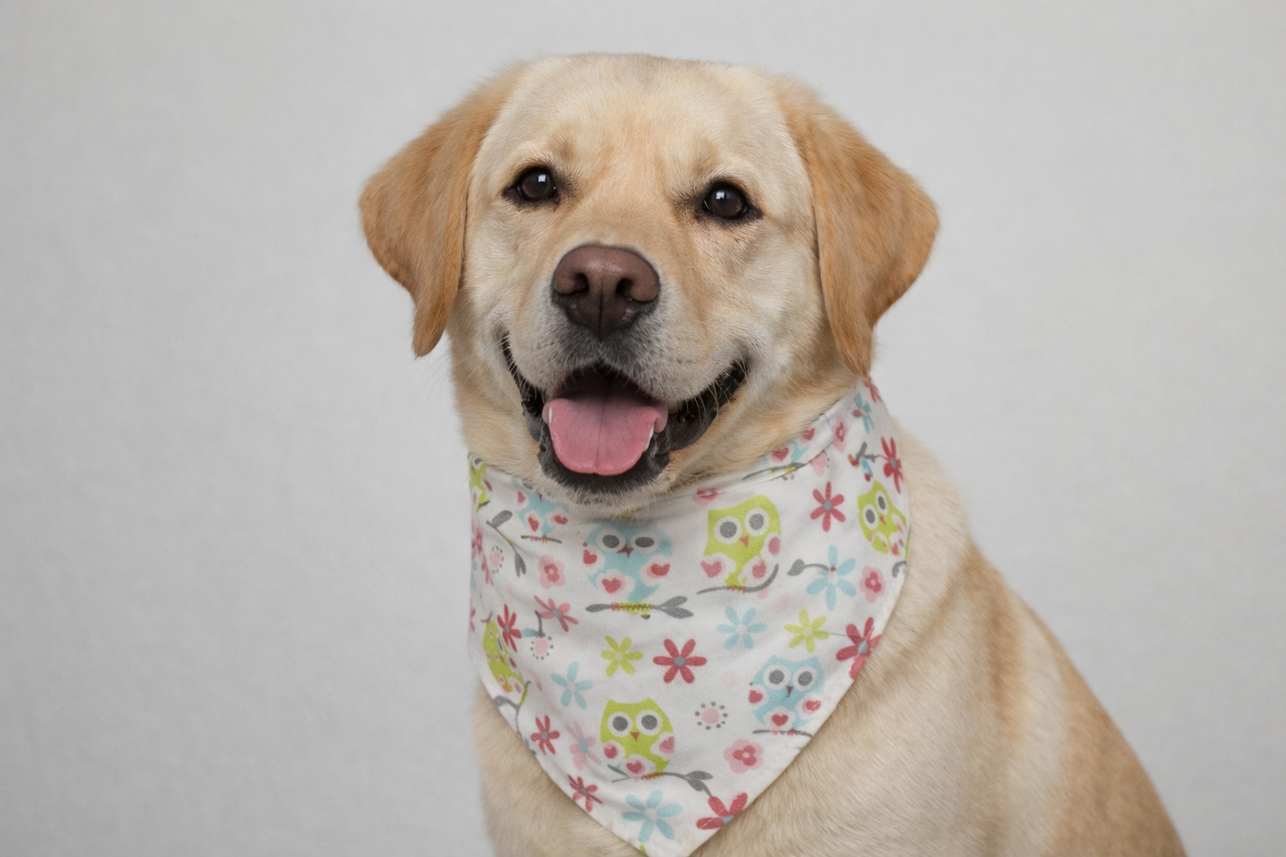 Whimsical Floral Dog Bandana