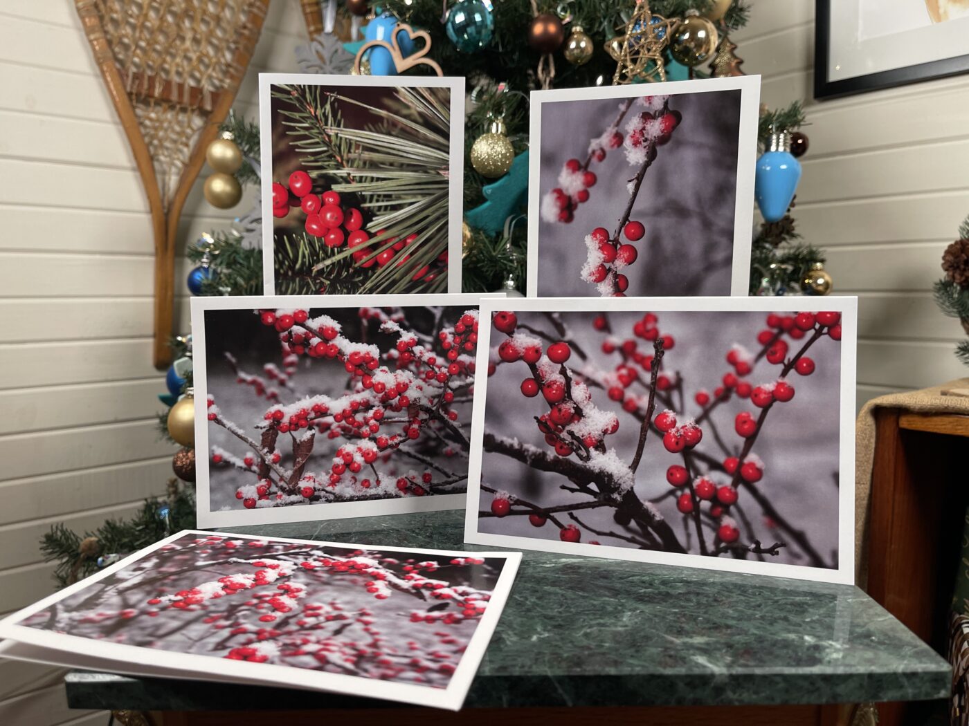 Winterberry Note Cards