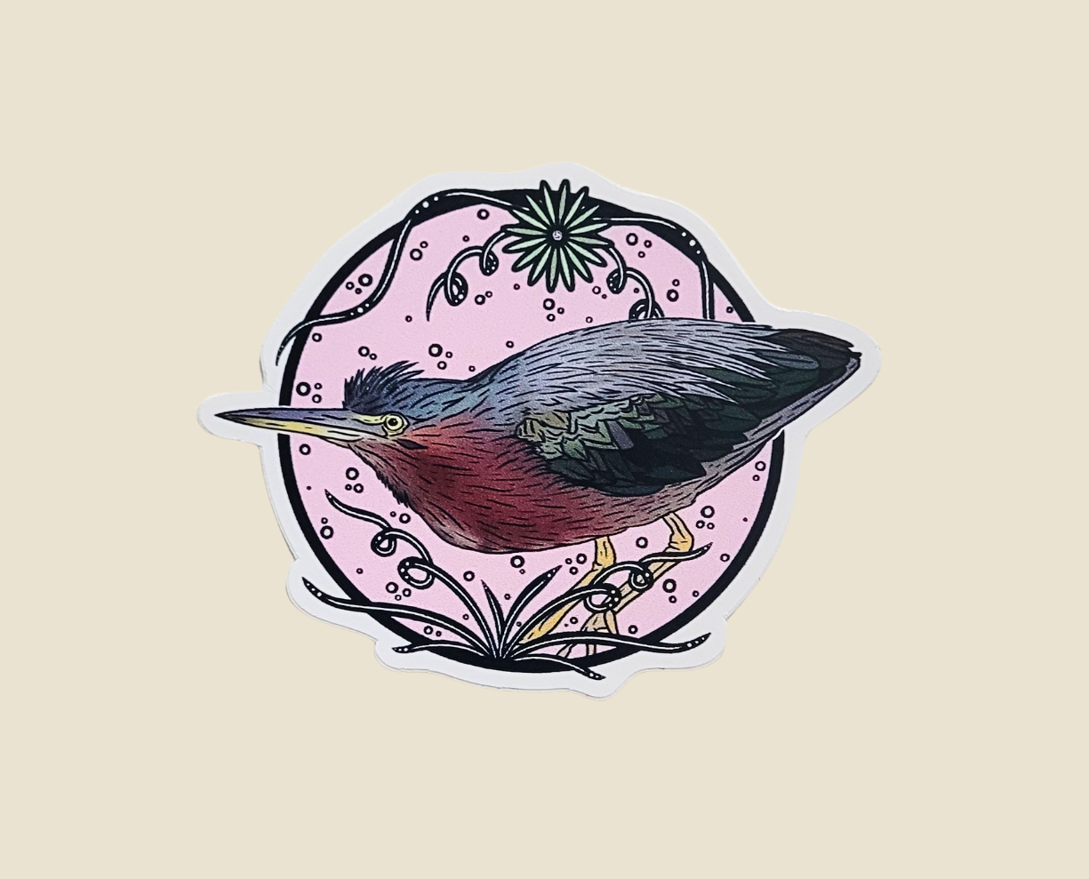 2023 Green Heron Sticker (2×2)