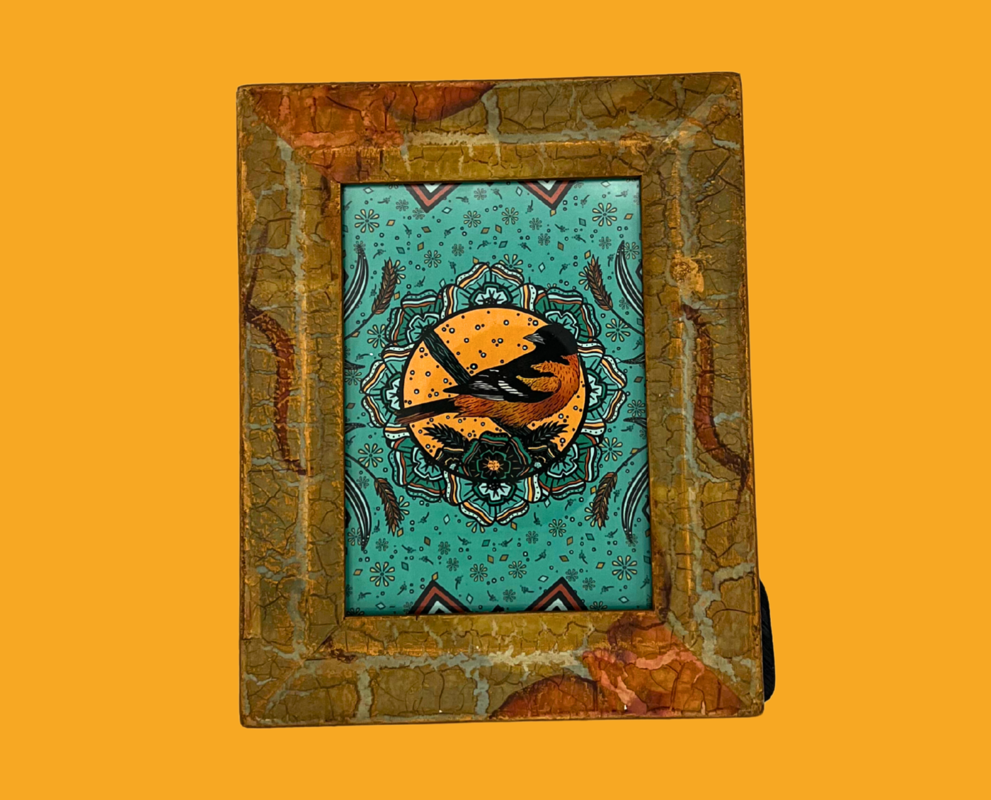 Baltimore Oriole – Framed Print (5×7)