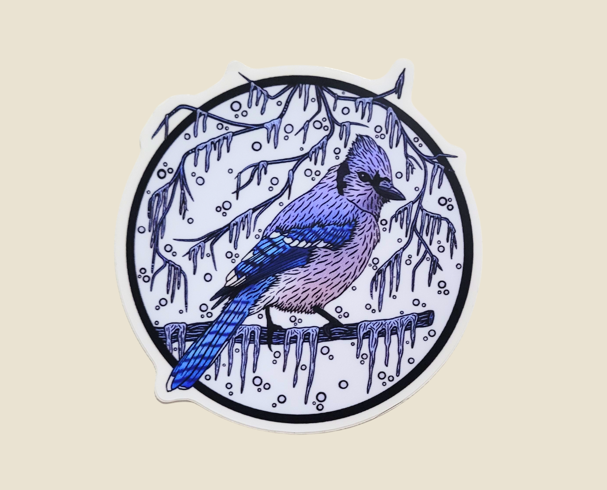 Blue Jay Sticker (3x3)