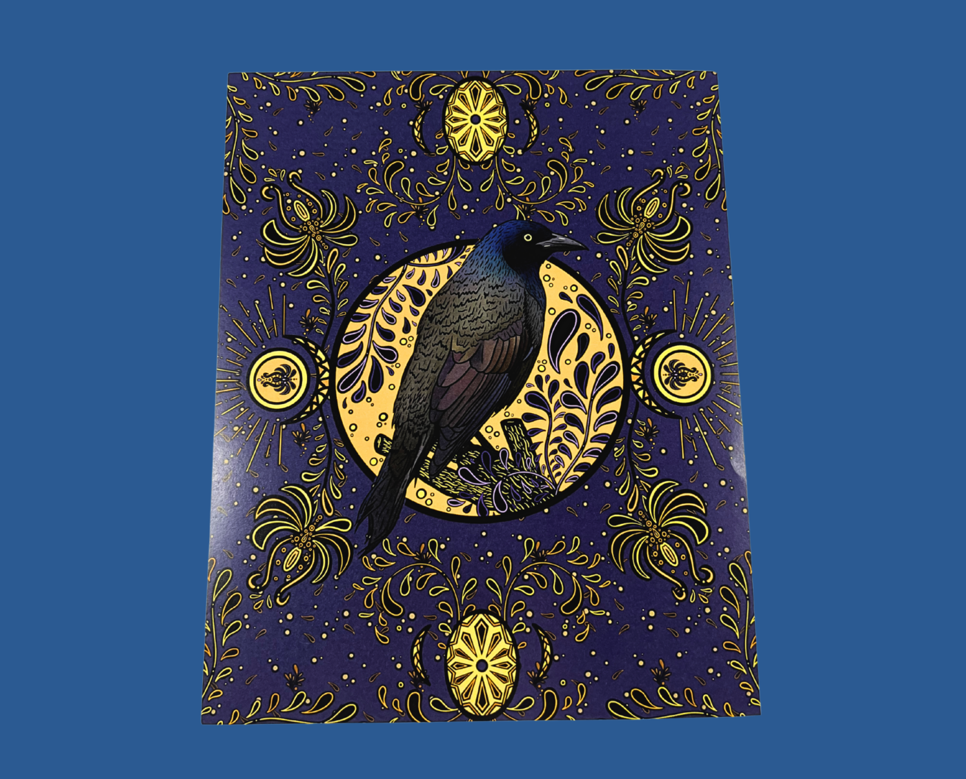Common Grackle – Unframed Print (8×10)