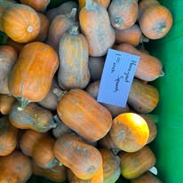 Honey Nut squash with oblong tan-orange skin and green mottling