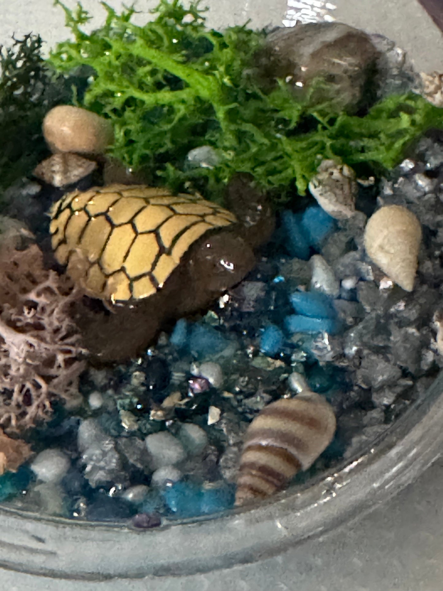 Baby Insect Tank
