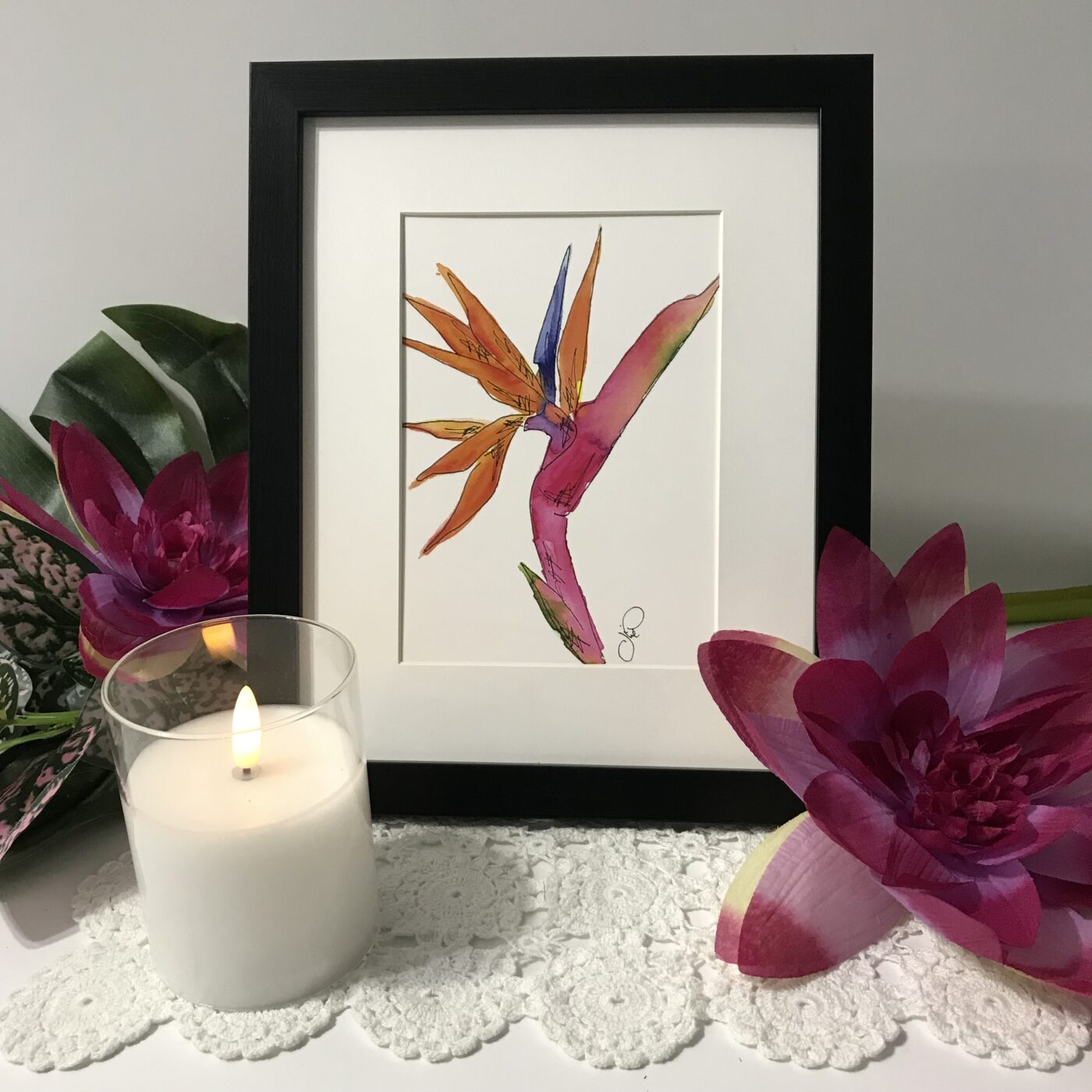 Bird of Paradise