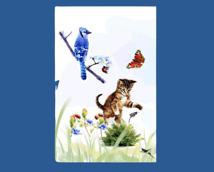 Kiddo and Bluejay – Greeting Card
