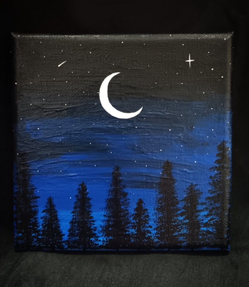 Night Sky Canvas