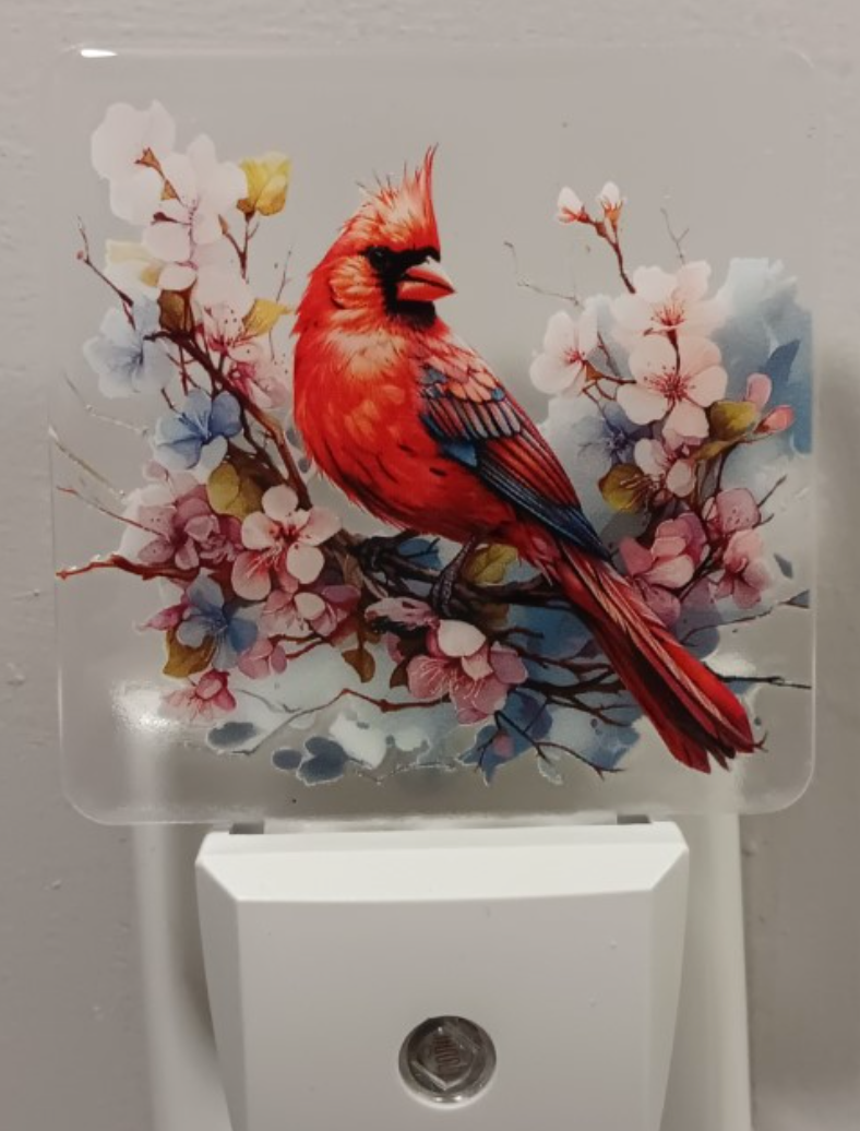 Nightlight (Cardinal)