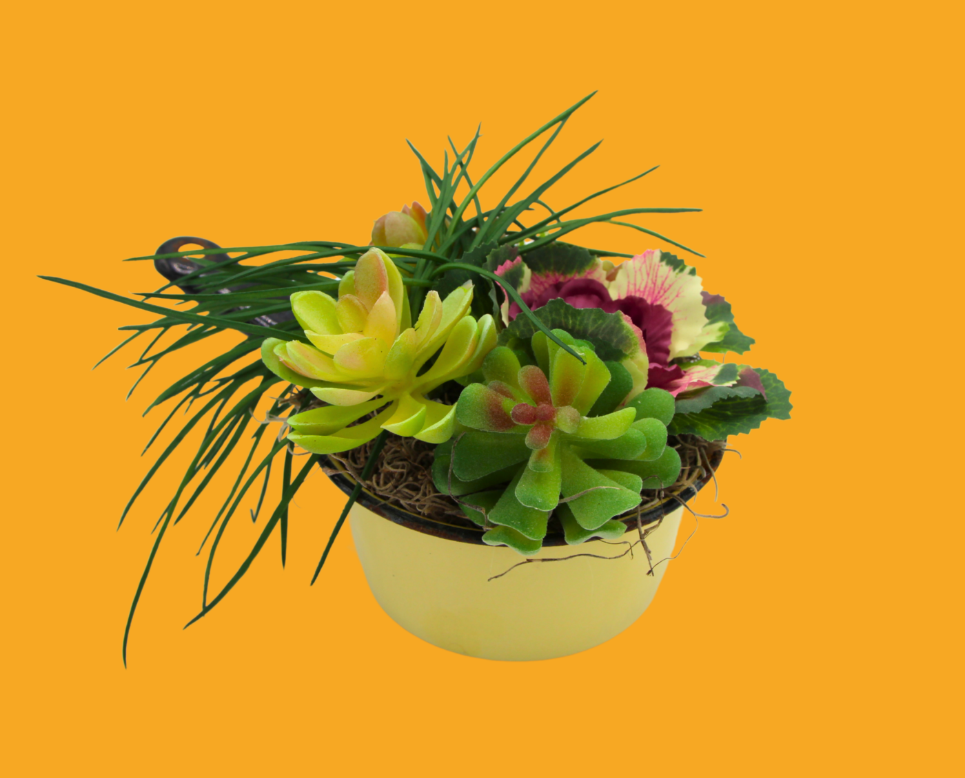 A Little Pot of Pretty