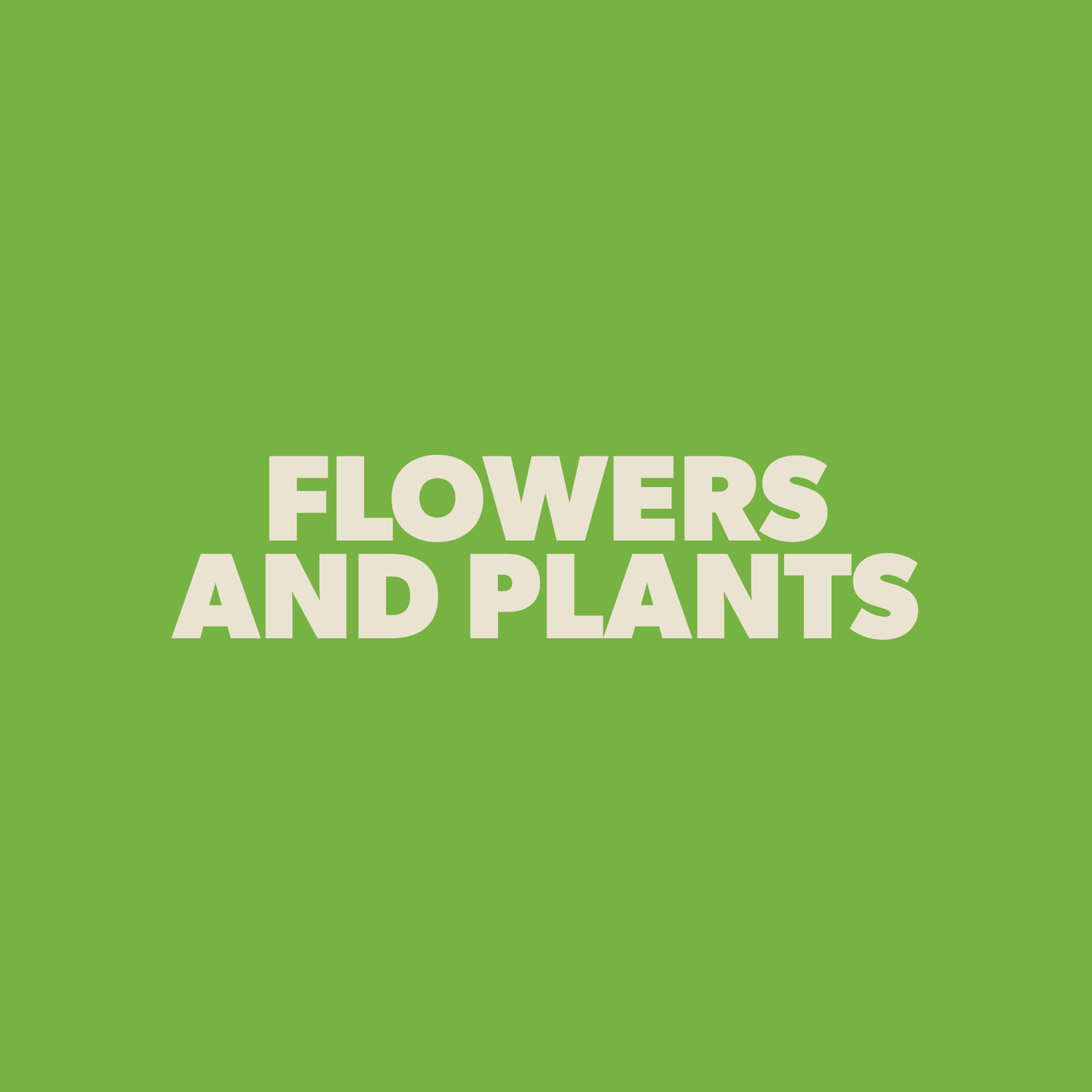 Flowers & Plants