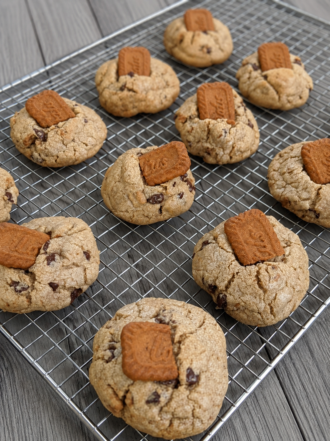 Biscoff chocolate chip cookies on a wire cooling rack, topped with Biscoff pieces