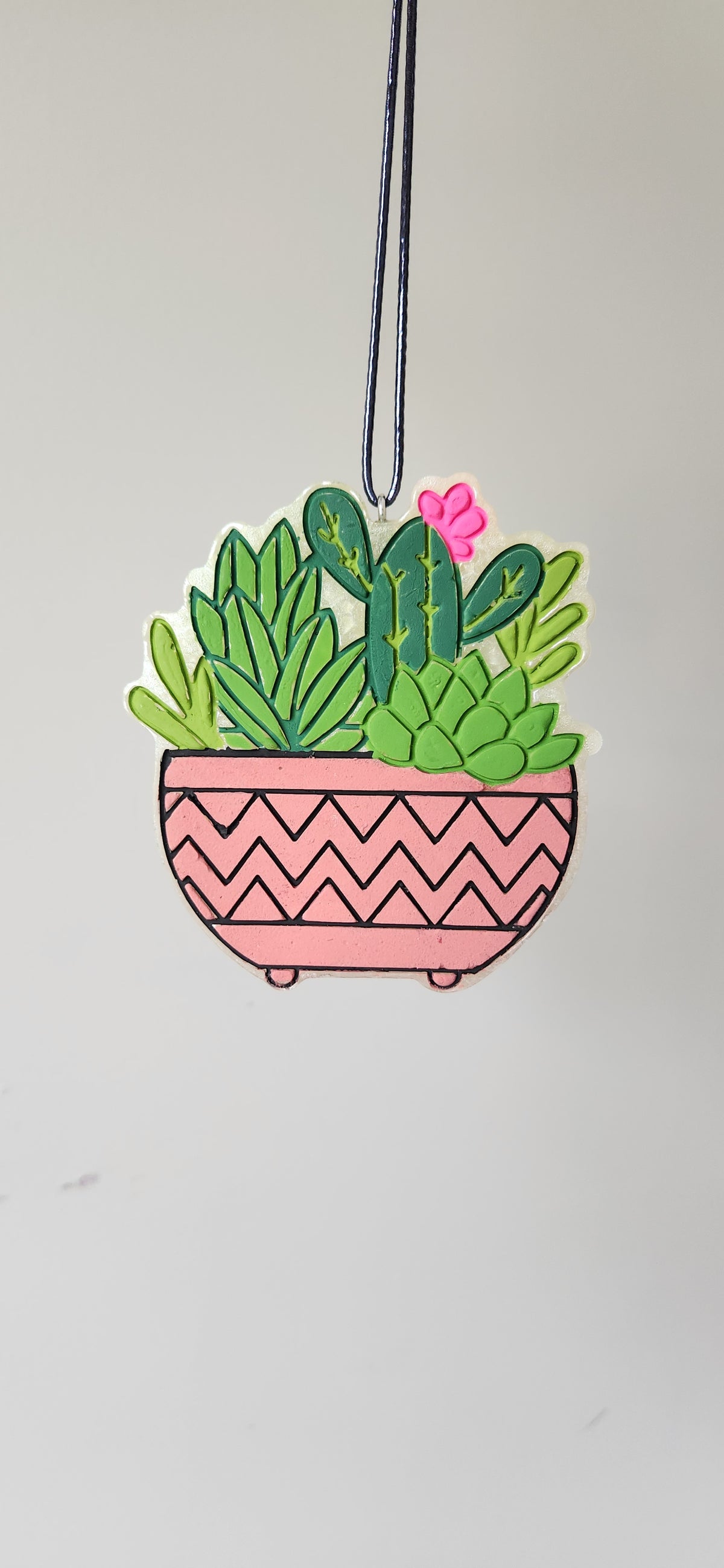 Potted Succulents