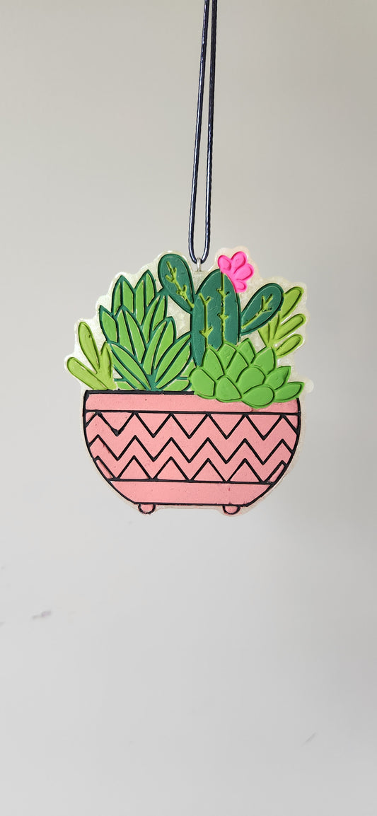 Potted Succulents