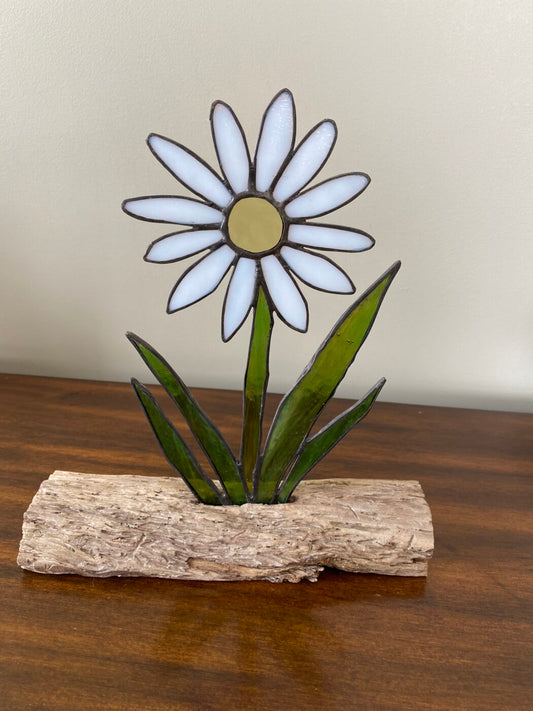 Stained Glass White Daisy Inlaid on Driftwood Base