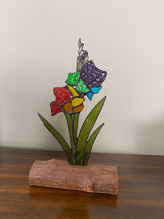 Stained Glass Gladiolus Inlaid on Driftwood Base - Rainbow Colours