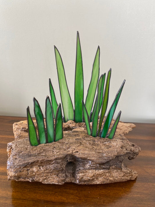 Stained Glass Cactus Succulents Centrepiece Inlaid on Driftwood Base