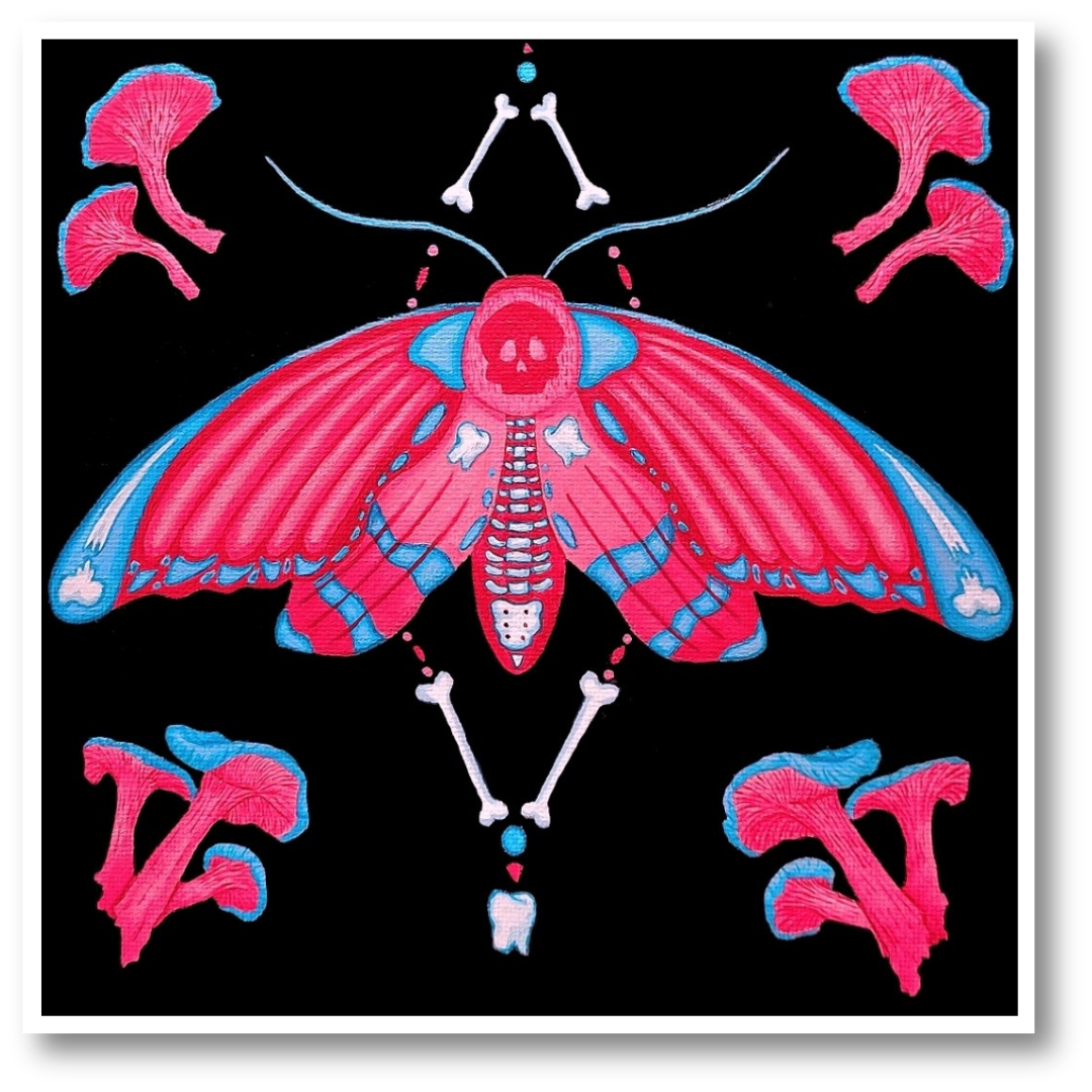 Death's Head Moth Art Print