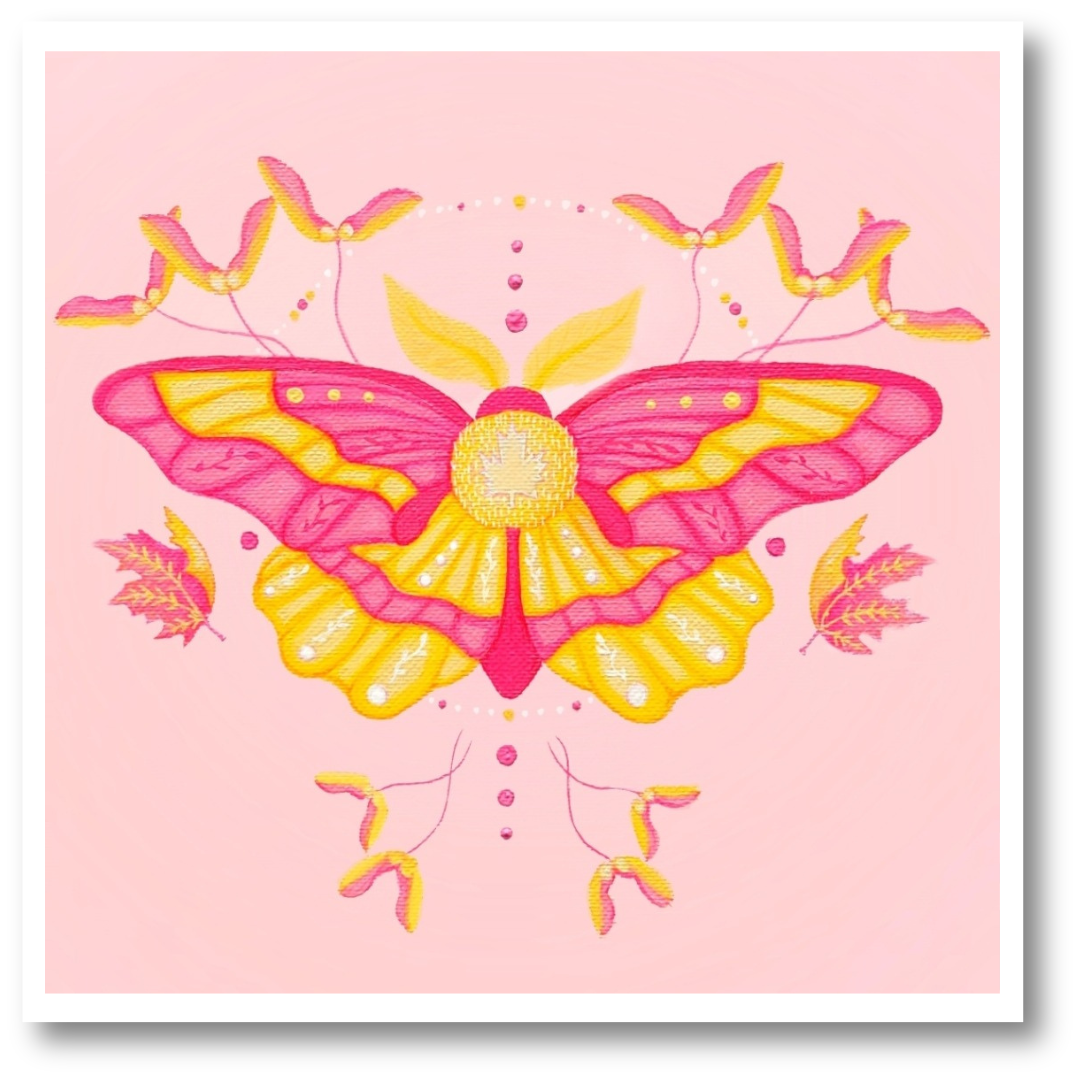 Rosy Maple Moth Art Print