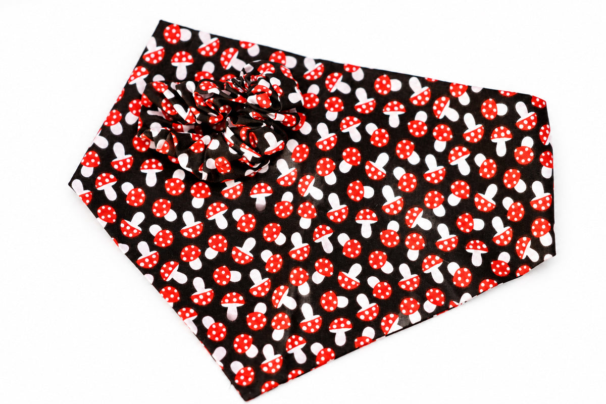 Dog bandana with black background and red-and-white mushroom fall pattern