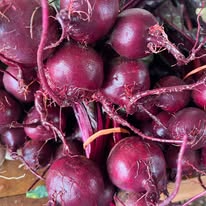 Fresh red beets with stems attached