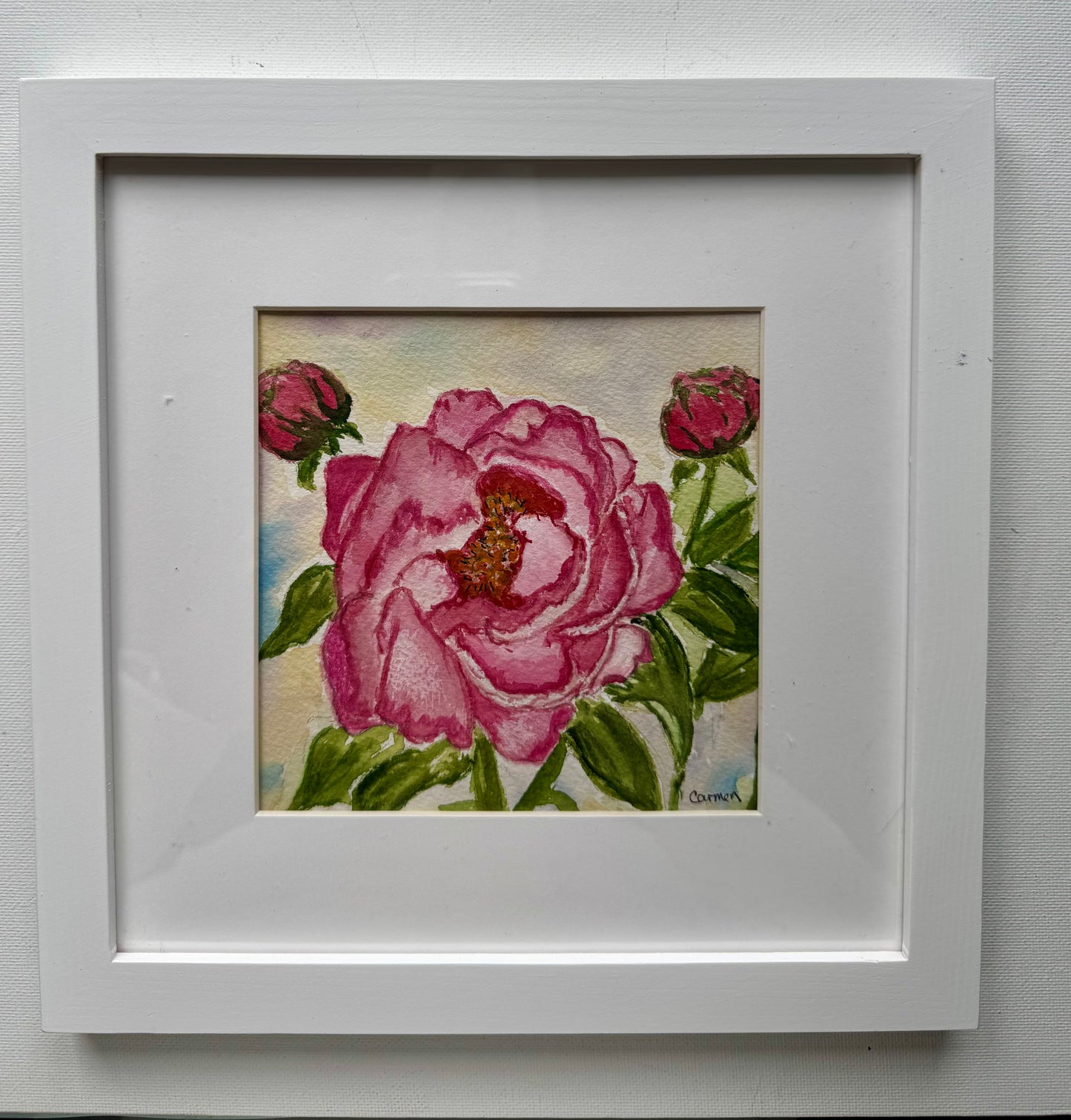 Blooms of Peony