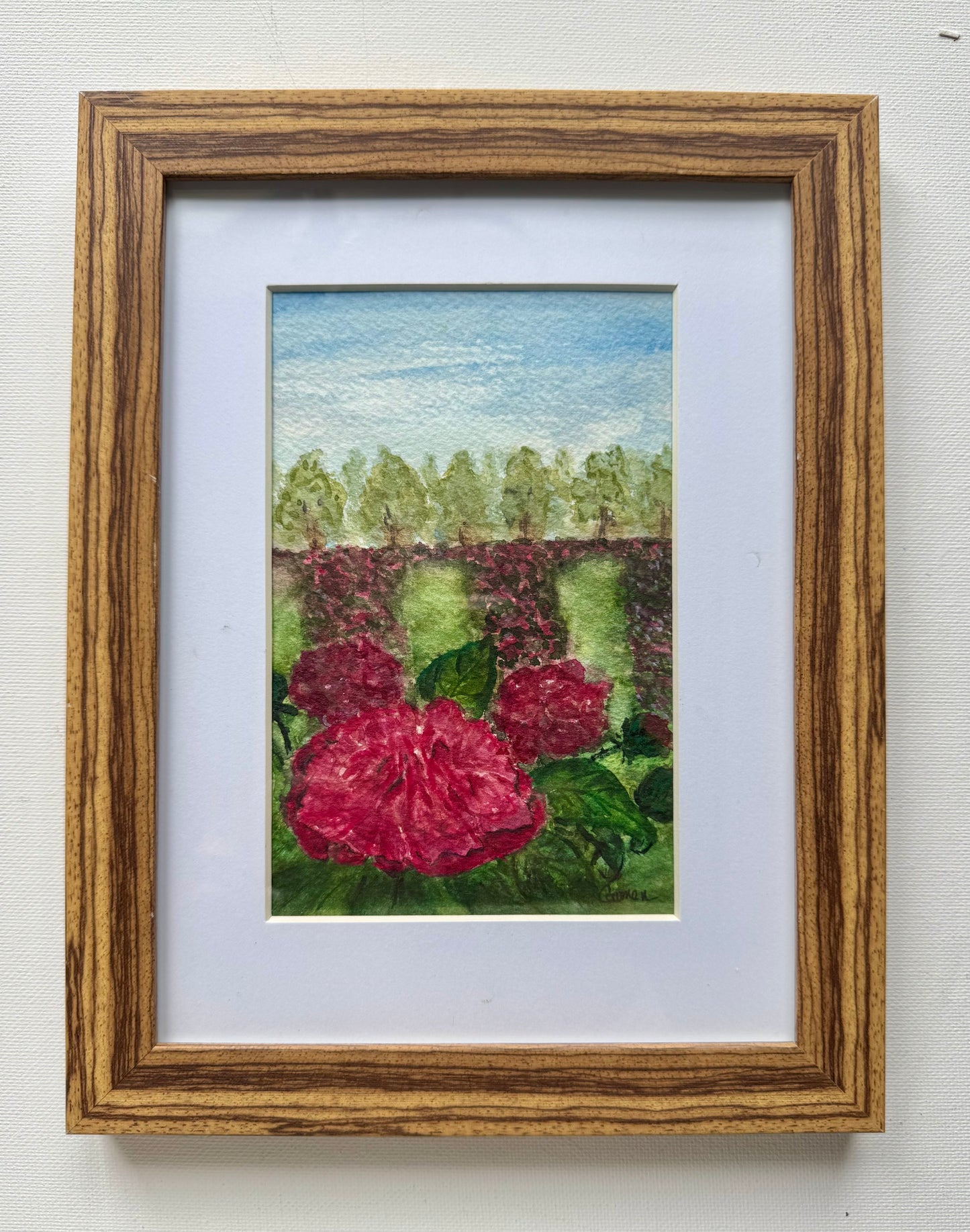 Peony Pathways