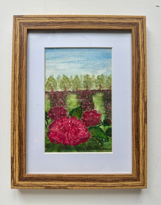 Peony Pathways