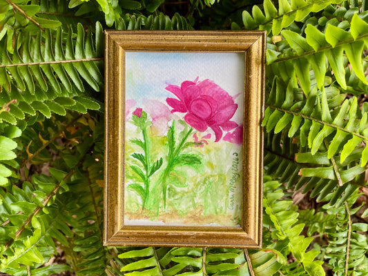 Peony