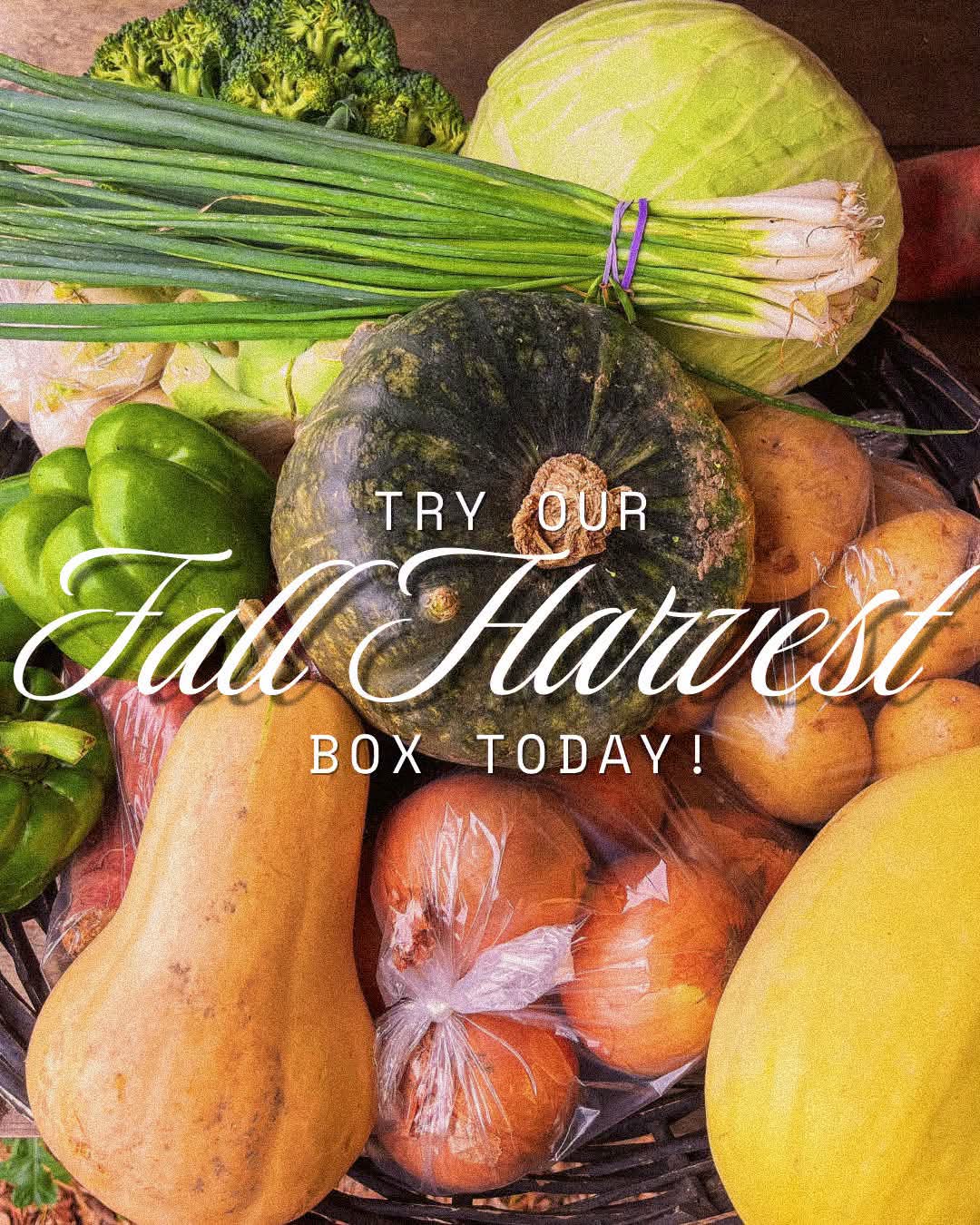 Fall Harvest Box