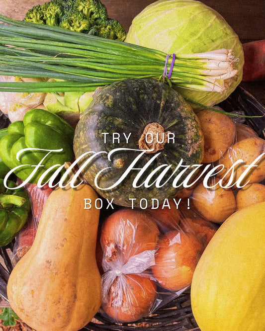 Fall Harvest Box