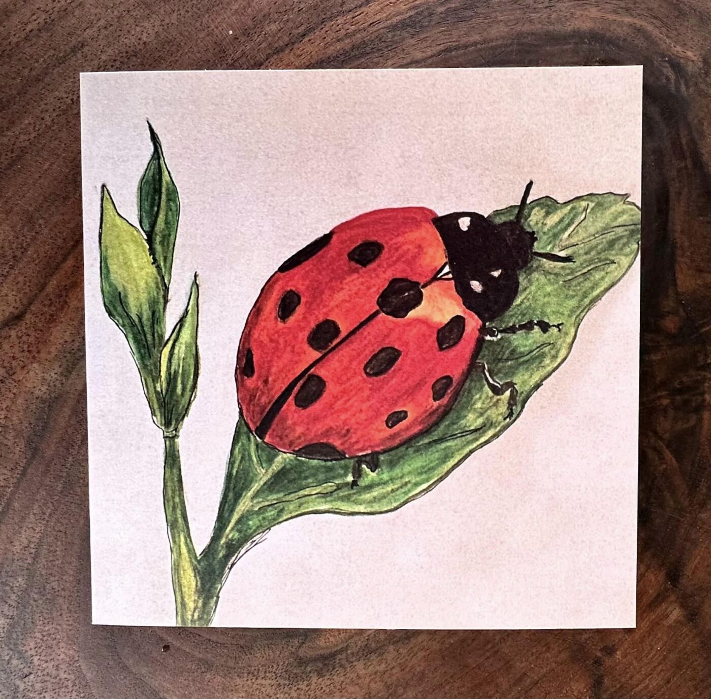 Lady of the House Greeting Card