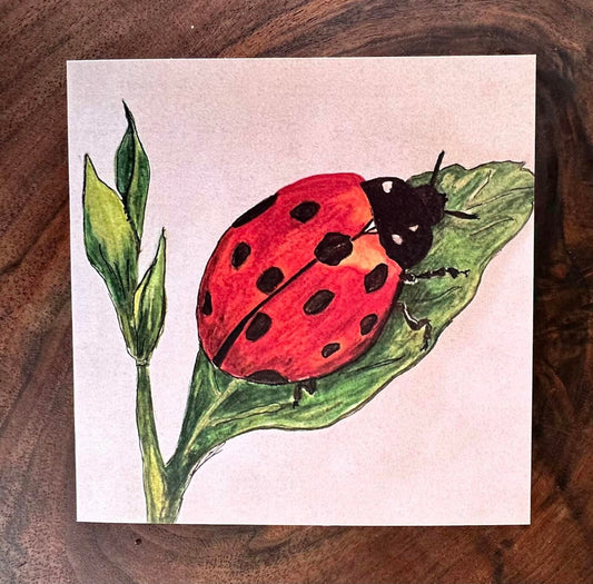Lady of the House Greeting Card