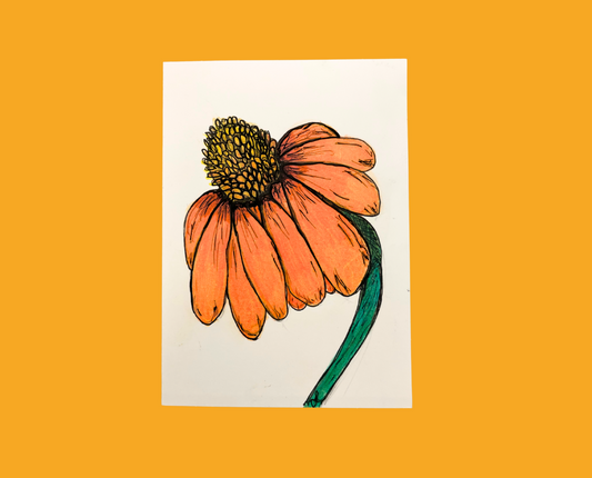 Orange Coneflower Greeting Card