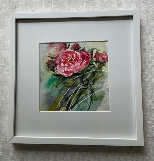 Peony Field