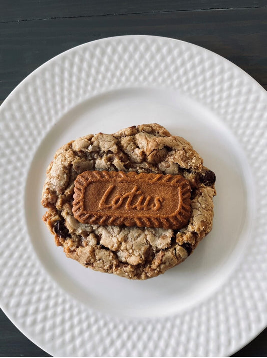 Biscoff Chocolate Chip Cookie (single)