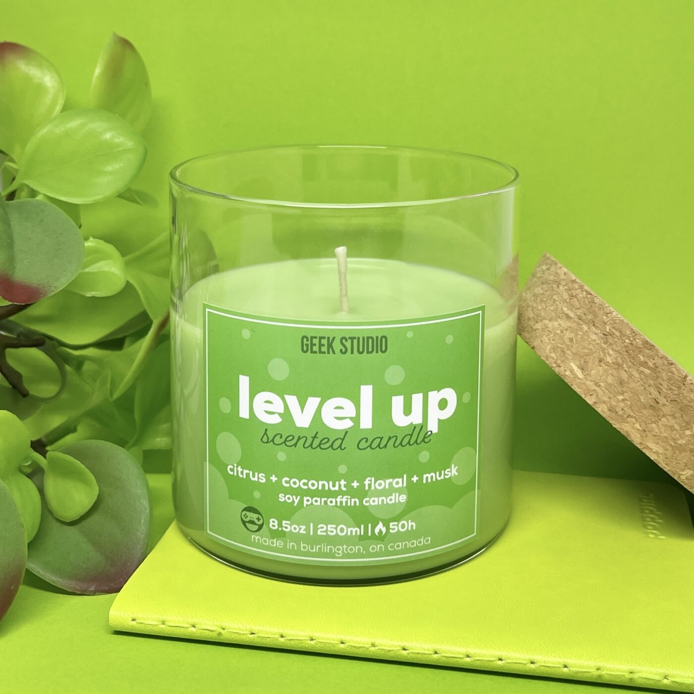 Level Up Candle (Coconut Cactus Blossom)