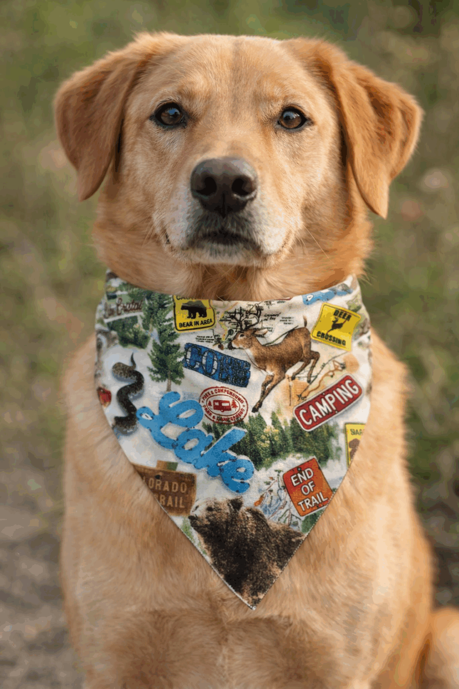 Camping (Deer) Dog Bandana