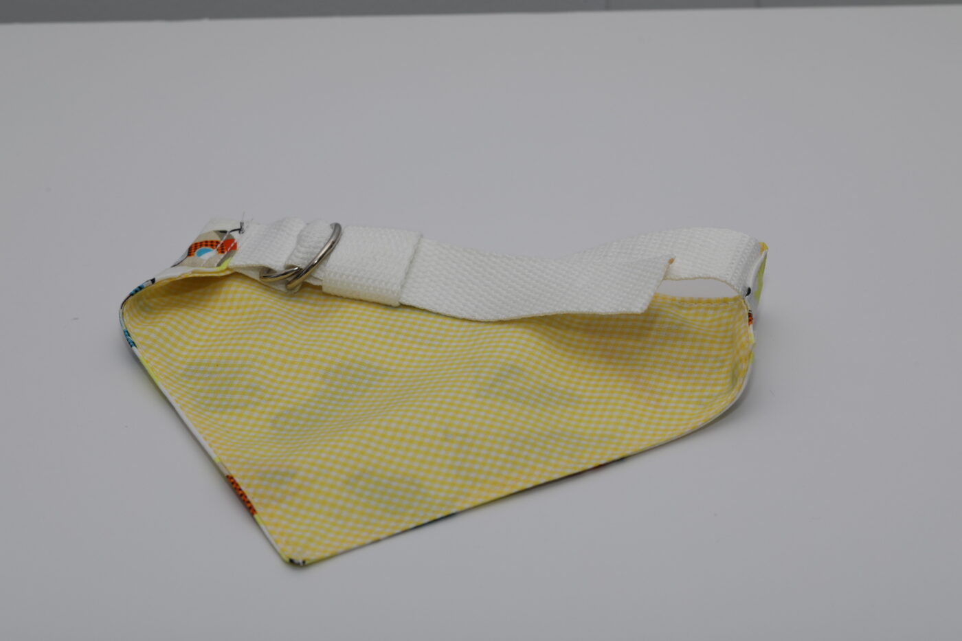 Camping (RV) Dog Bandana