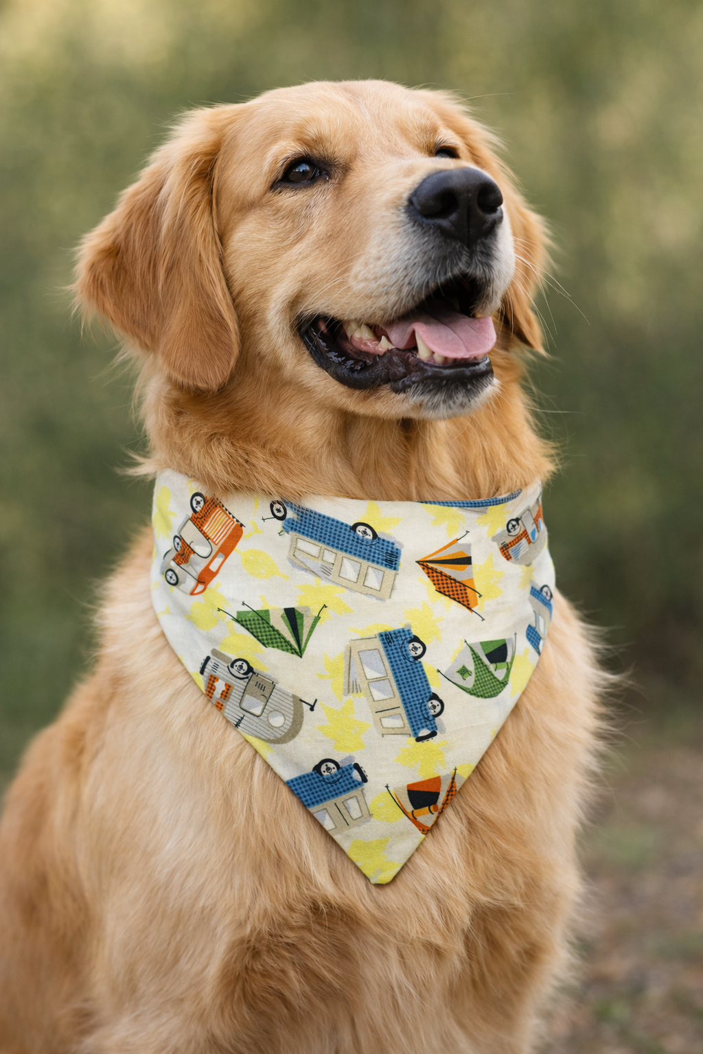 Camping (RV) Dog Bandana
