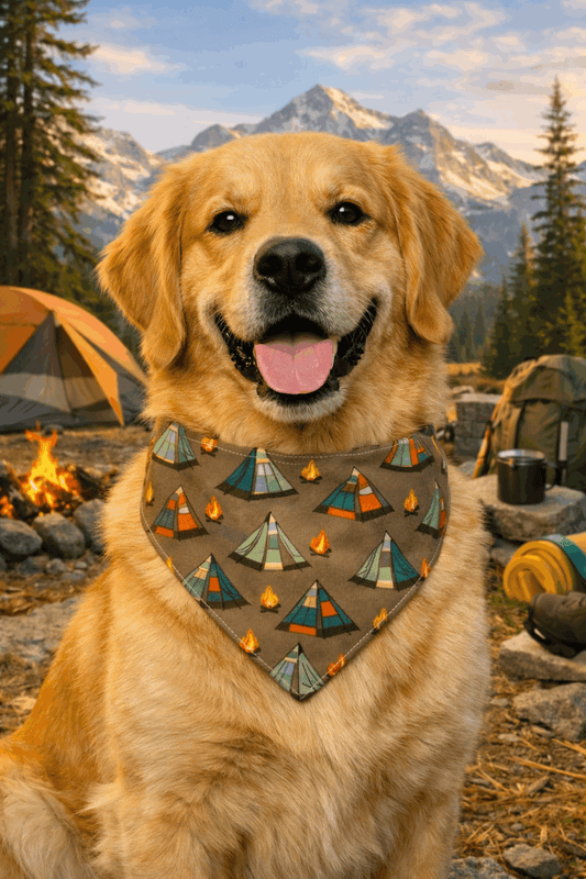 Golden retriever wearing brown tent-print dog bandana with knotted tie