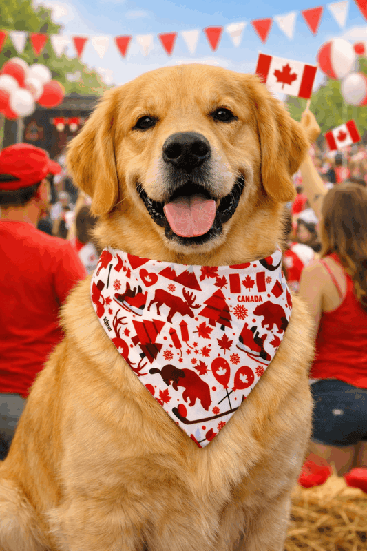 Dog wearing a red-and-white Canada themed triangular bandana with leaf and animal prints