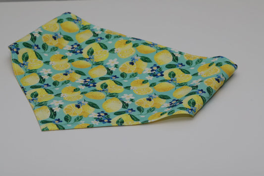Lemon Dog Bandana