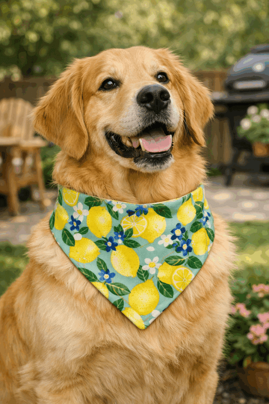 Dog wearing yellow lemon-and-leaf bandana, triangular scarf with green trim