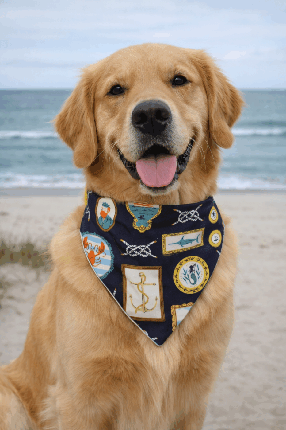 Lighthouse/Anchor/Boat Dog Bandana